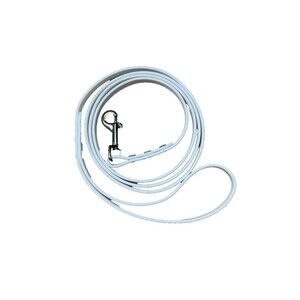 Biothane Dog Leash - 3/8" width - waterproof, stink proof - white 4.5' USA Made